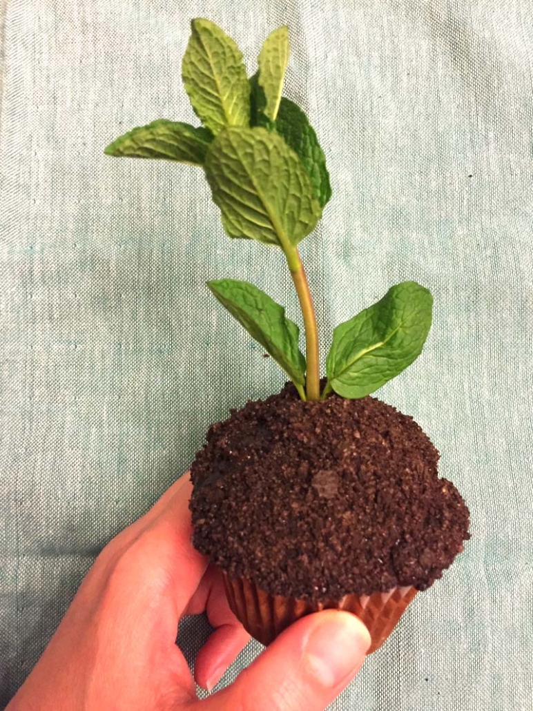 how to make earth day oreo dirt cupcakes