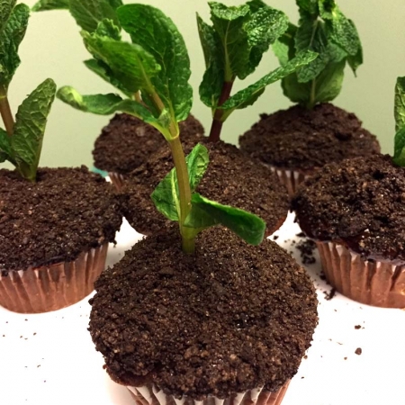 Oreo Dirt Cupcakes