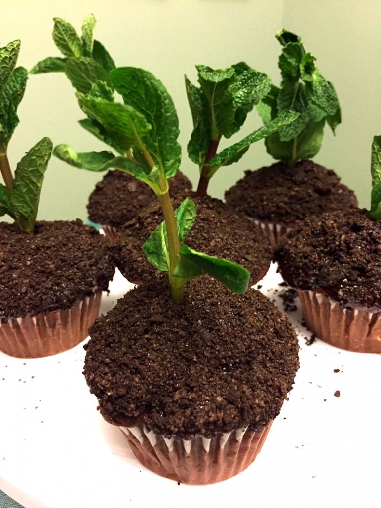 Oreo Dirt Cupcakes