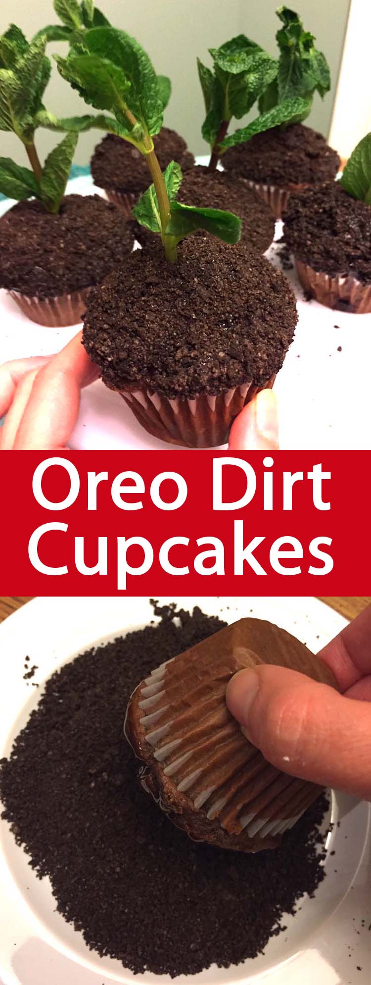 Oreo Dirt Cupcakes Recipe